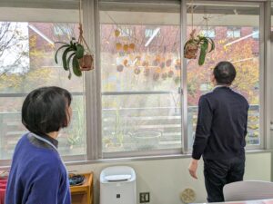 PXL_20241205_041229479.MP (1)